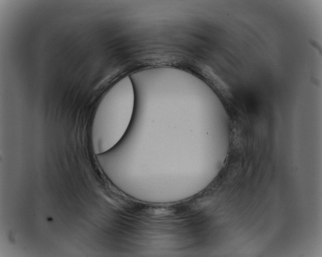 X0000097750165200803070851