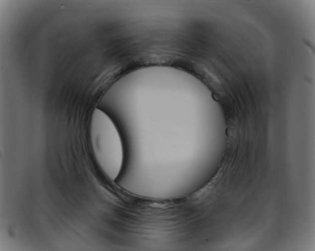 X0000097750166200803070851