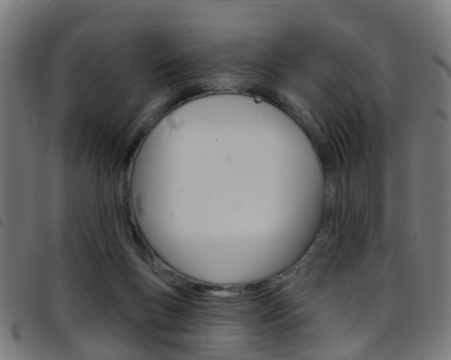 X0000097750167200803070851