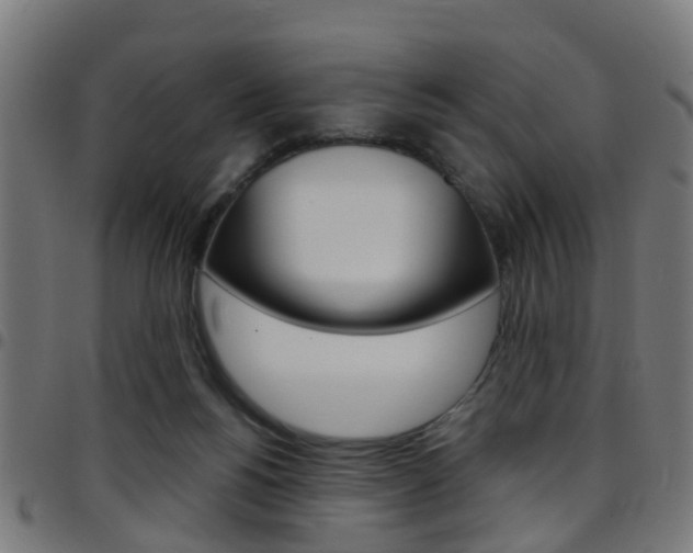 X0000097750168200803070851