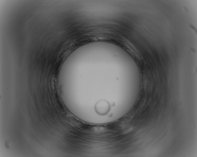 X0000097750169200803070851