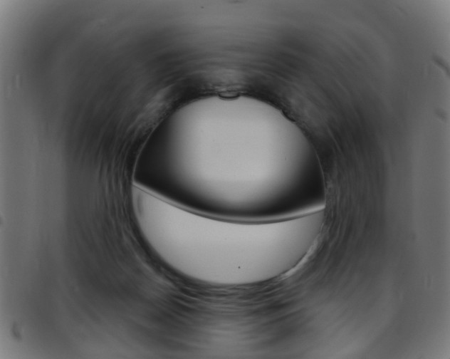 X0000097750170200803070851