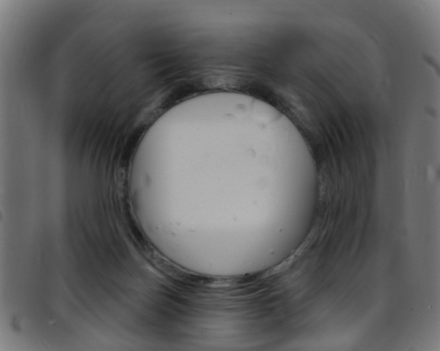 X0000097750171200803070851