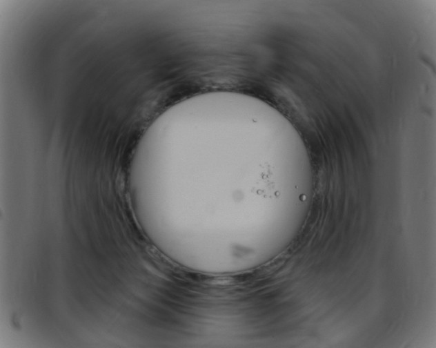 X0000097750173200803070851