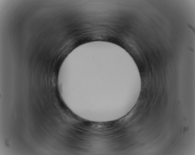 X0000097750174200803070851