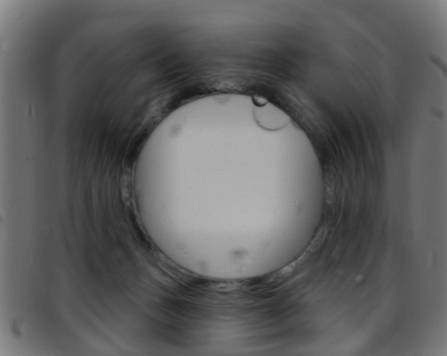 X0000097750175200803070851
