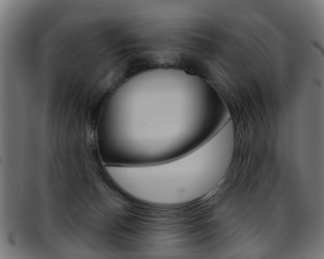 X0000097750176200803070851