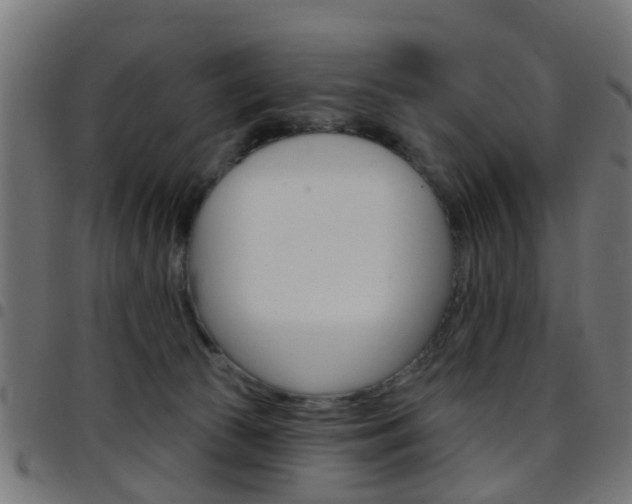 X0000097750177200803070851