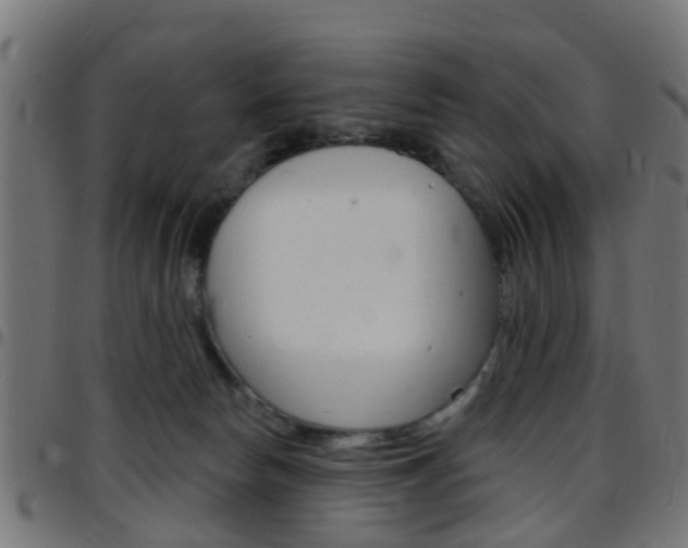 X0000097750178200803070851