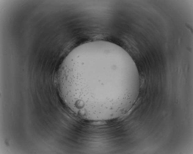 X0000097750179200803070851