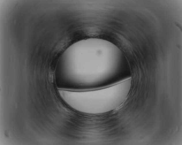 X0000097750180200803070851