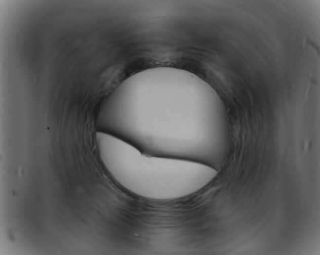 X0000097750181200803070851
