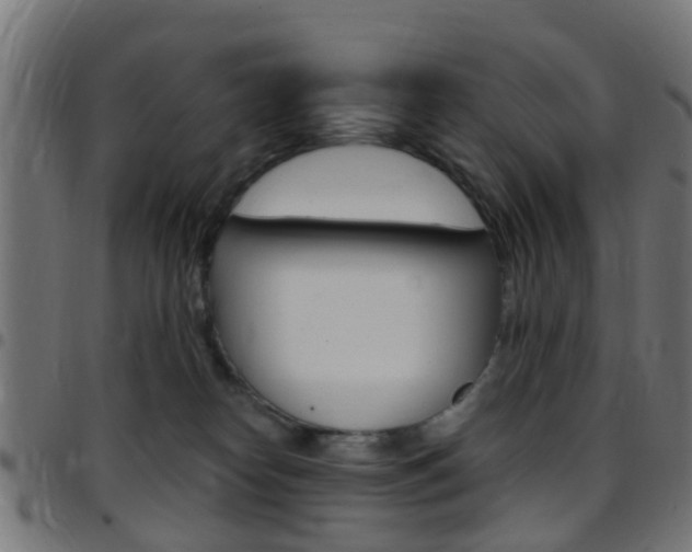 X0000097750182200803070851