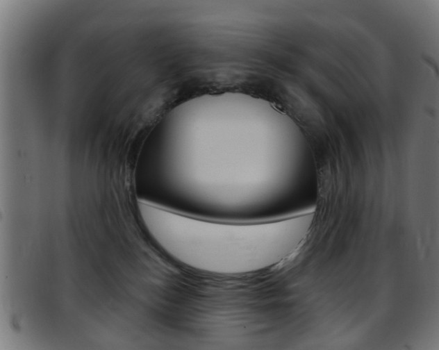 X0000097750184200803070851