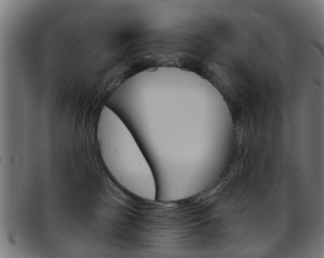 X0000097750185200803070851