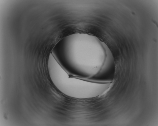 X0000097750186200803070851