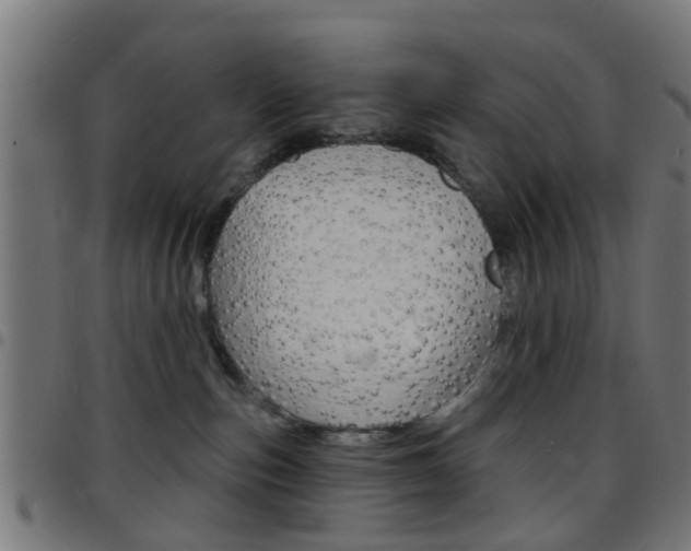 X0000097750187200803070851
