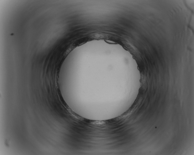 X0000097750189200803070851