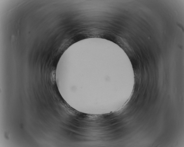 X0000097750190200803070851