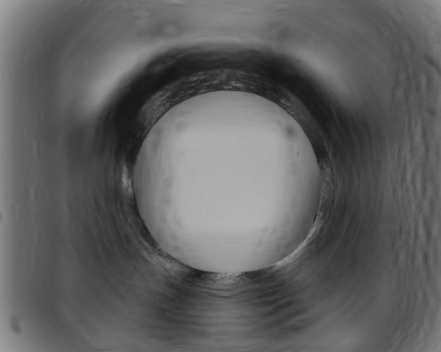 X0000097750191200803070851