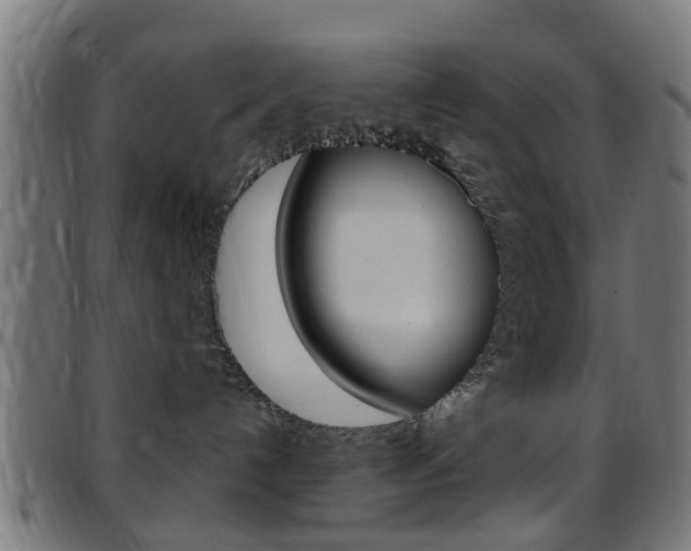 X0000097750192200803070851
