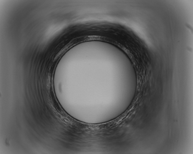 X0000097750194200803070851