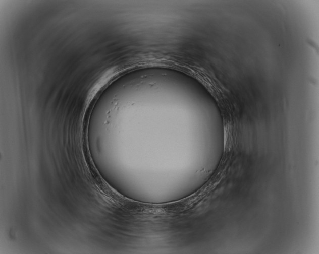 X0000097750195200803070851
