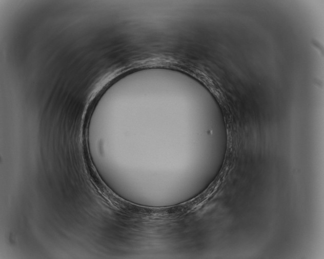 X0000097750196200803070851