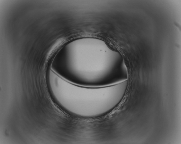 X0000097750197200803070851
