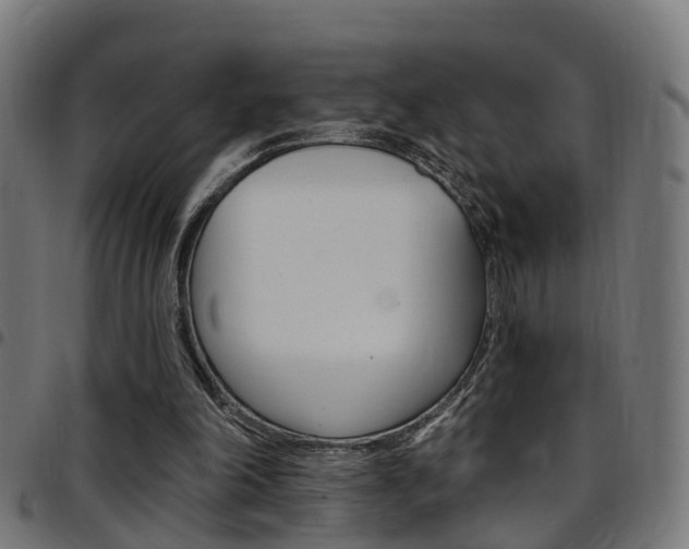 X0000097750198200803070851