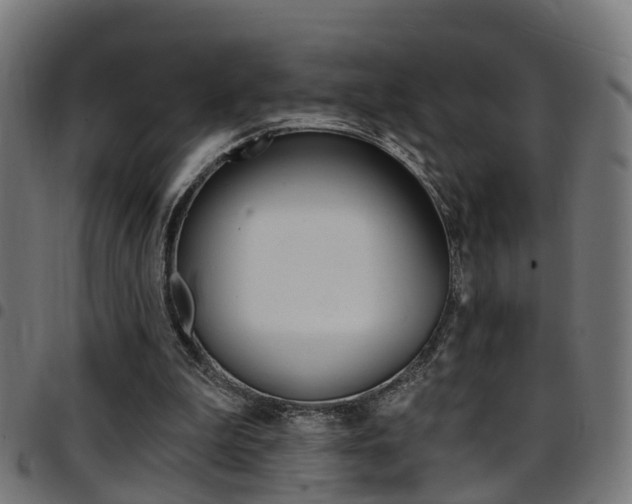 X0000097750199200803070850
