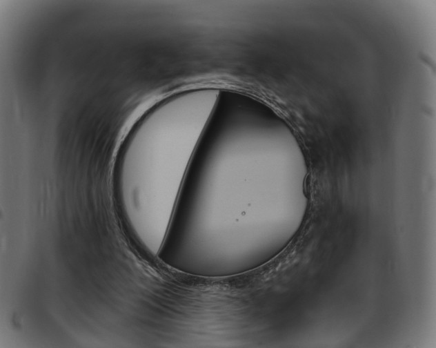 X0000097750200200803070850