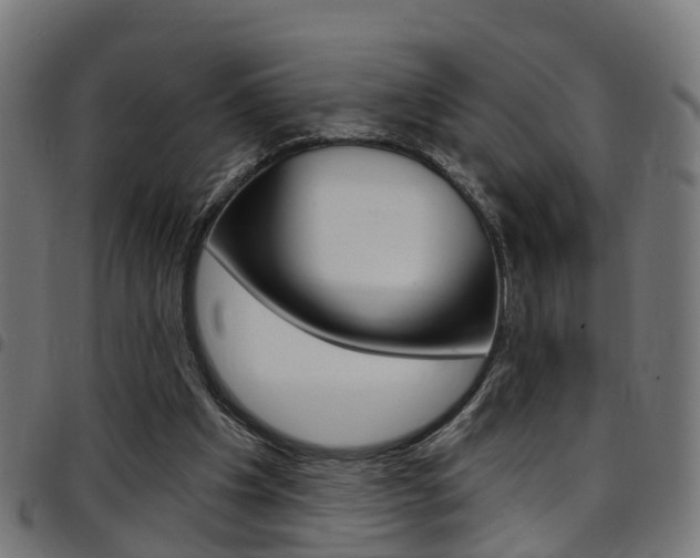X0000097750201200803070850