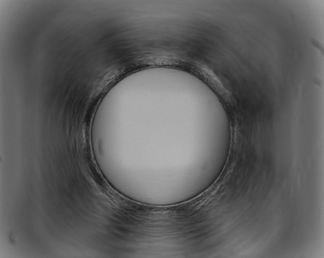X0000097750202200803070850
