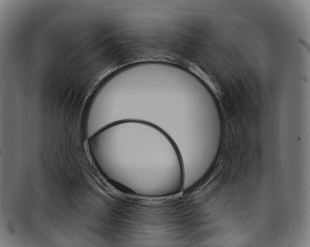 X0000097750203200803070850