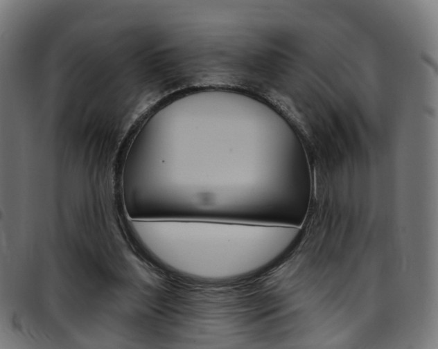 X0000097750204200803070850
