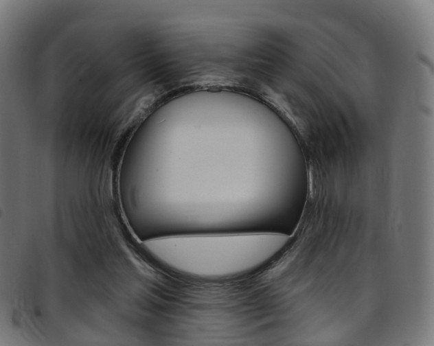 X0000097750205200803070850