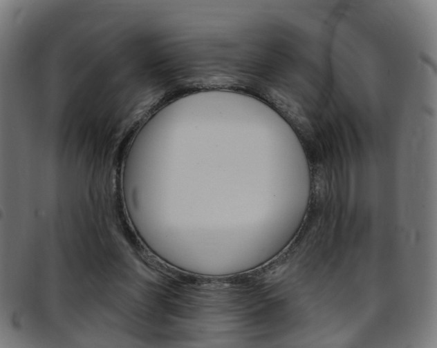 X0000097750206200803070850