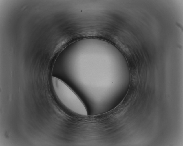 X0000097750207200803070850