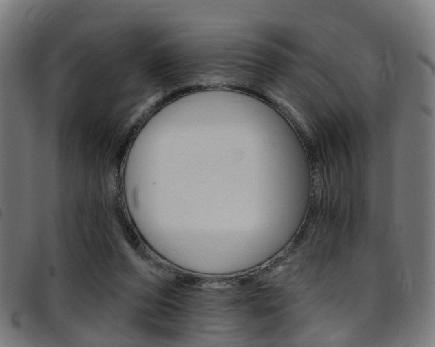 X0000097750208200803070850