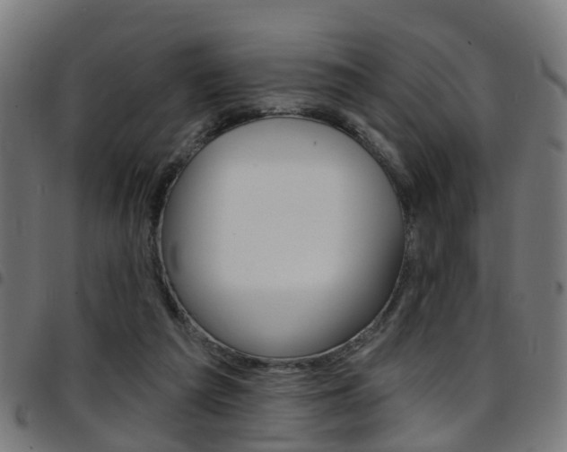 X0000097750209200803070850