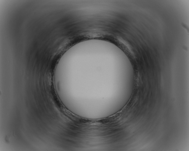 X0000097750210200803070850