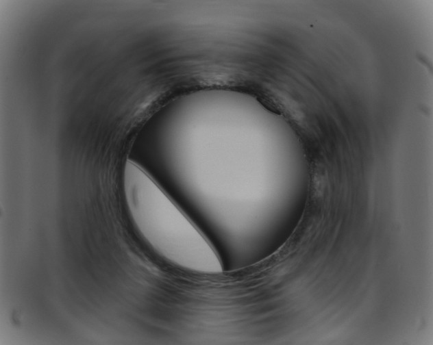 X0000097750211200803070850