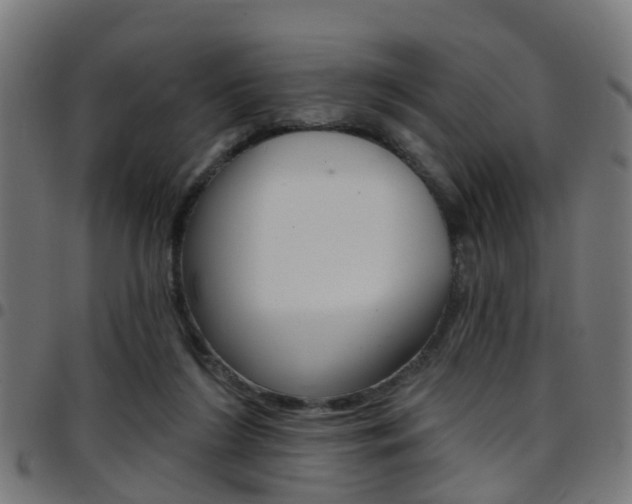 X0000097750212200803070850