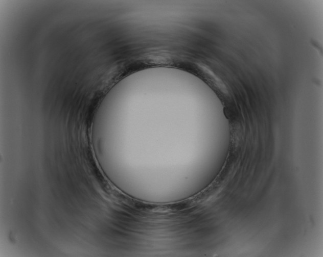 X0000097750213200803070850