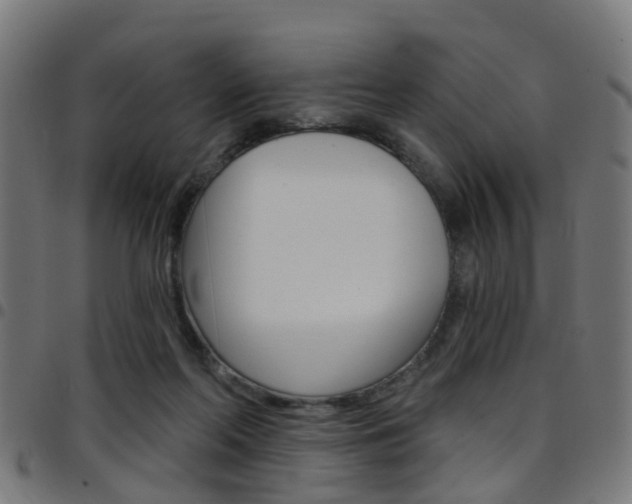 X0000097750214200803070850