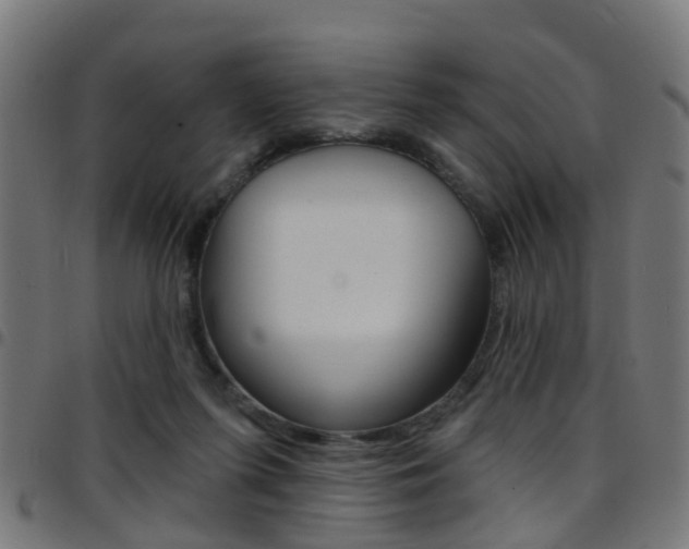 X0000097750215200803070850