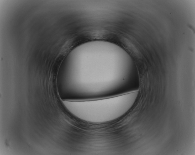 X0000097750217200803070850