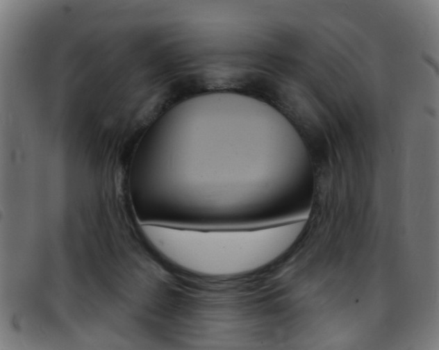 X0000097750219200803070850