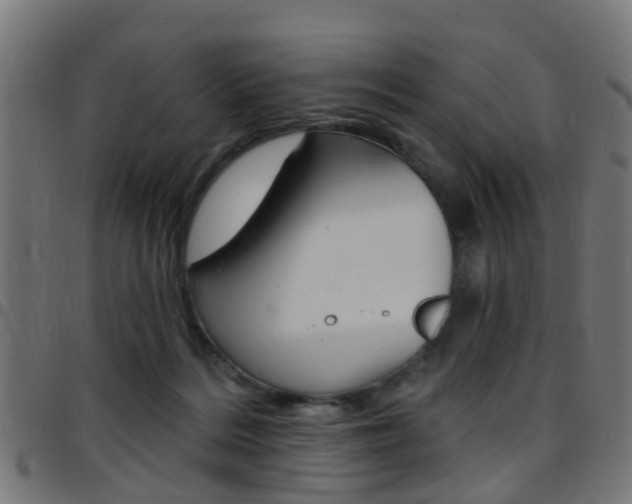 X0000097750220200803070850